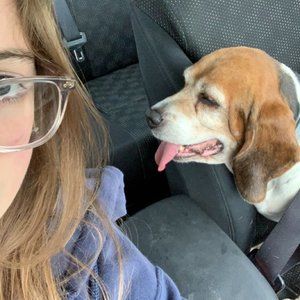 Meet your Posher, Ella